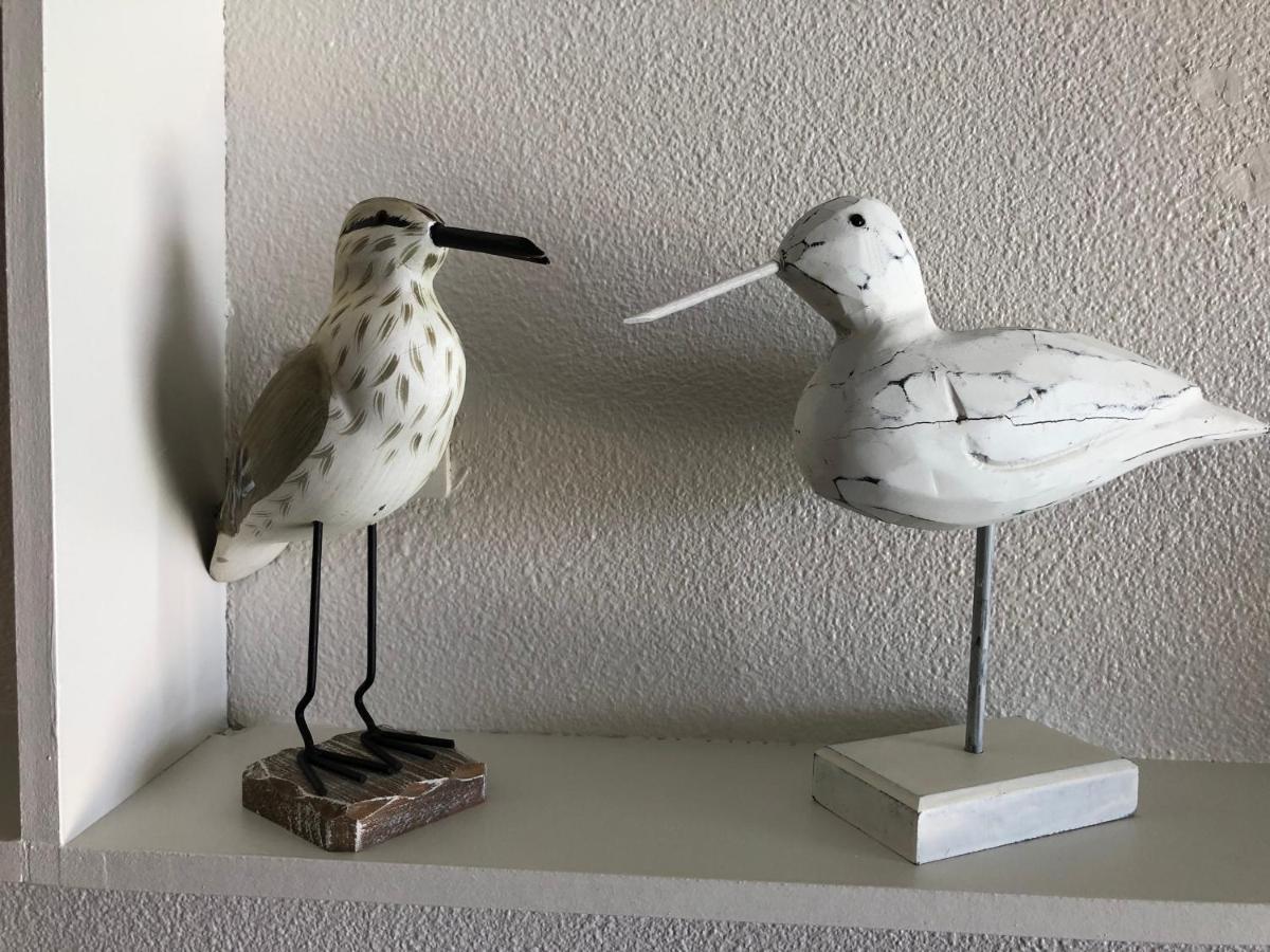 Tres Bel Appartement Vue Mer Avec Piscine Douarnenez Zewnętrze zdjęcie