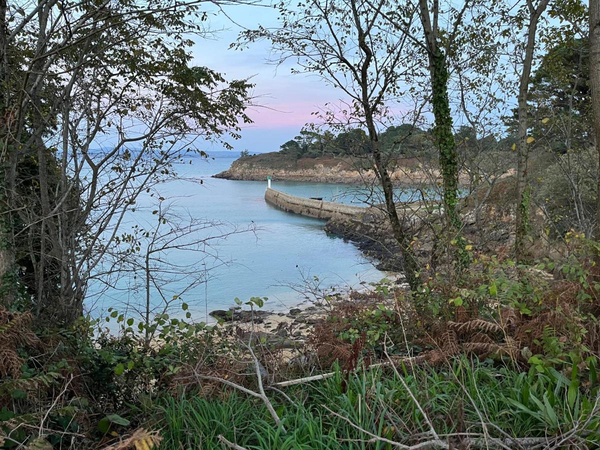 Tres Bel Appartement Vue Mer Avec Piscine Douarnenez Zewnętrze zdjęcie